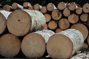 Duże drewniane kawałki drewna leżą na sobie
